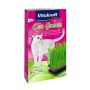 Vitakraft Cat-Grass Trawa dla kota 120g [26547] - 2