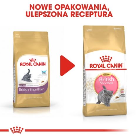 Royal Canin British Shorthair Kitten karma sucha dla kociąt, do 12 miesiąca, rasy brytyjski krótkowłosy 2kg - 3