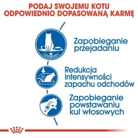 Royal Canin Indoor Apetite Control karma sucha dla kotów dorosłych, przebywających w domu, domagających się jedzenia 2kg - 4