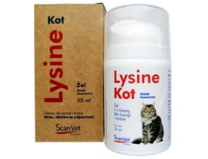 ScanVet Lysine kot żel - preparat z L-lizyną dla kotów i kociąt żel 50ml