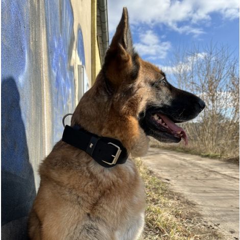 Dingo Obroża specjalna z taśmy 4,0x55-65cm czarna - 2