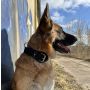Dingo Obroża specjalna z taśmy 4,0x55-65cm czarna - 2