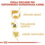 Royal Canin Yorkshire Terrier Adult karma mokra - pasztet, dla psów dorosłych rasy yorkshire terrier saszetka 85g - 5