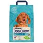 Purina Dog Chow Puppy Jagnięcina 2,5kg - 3