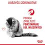 Royal Canin Hairball Care karma sucha dla kotów dorosłych, eliminacja kul włosowych 2kg - 3