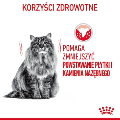 Royal Canin Dental Care karma sucha dla kotów dorosłych, redukująca odkładanie kamienia nazębnego 400g - 3