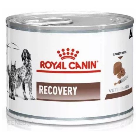 Royal Canin Veterinary Diet Recovery puszka 195g