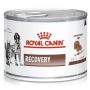 Royal Canin Veterinary Diet Recovery puszka 195g