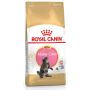 Royal Canin Maine Coon Kitten karma sucha dla kociąt, do 15 miesiąca, rasy maine coon 2kg - 2