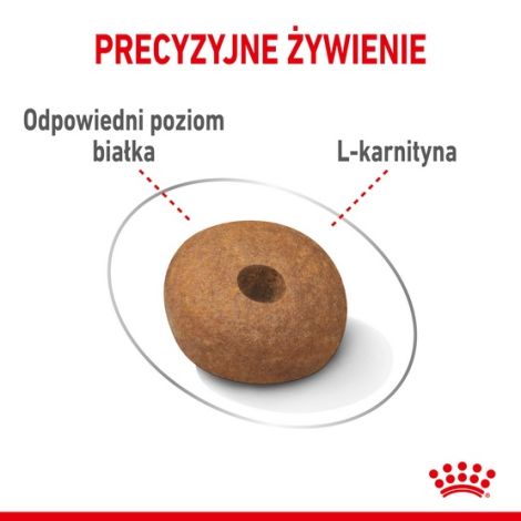 Royal Canin Medium Light Weight Care karma sucha dla psów dorosłych, ras średnich tendencją do nadwagi 3kg - 5