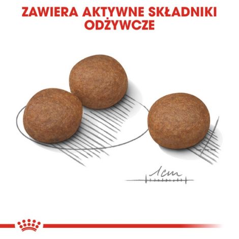 Royal Canin Medium Digestive Care karma sucha dla psów dorosłych, ras średnich o wrażliwym przewodzie pokarmowym 3kg - 5