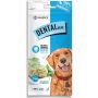 Pawerce Dental Bone Large Breeds 1szt/op 115g/17cm