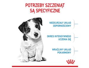 Royal Canin Mini Puppy karma sucha dla szczeniąt, od 2 do 10 miesiąca życia, ras małych 8kg - 2