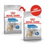 Royal Canin Mini Light Weight Care karma sucha dla psów dorosłych, ras małych z tendencją do nadwagi 8kg - 2