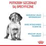 Royal Canin Medium Puppy karma sucha dla szczeniąt, od 2 do 12 miesiąca, ras średnich 15kg - 2