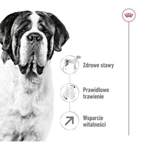 Royal Canin Giant Adult karma sucha dla psów dorosłych, od 18/24 miesiąca życia, ras olbrzymich 15kg - 2