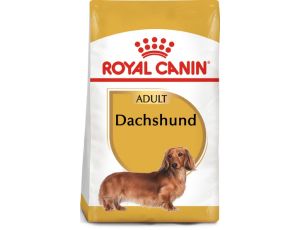 Royal Canin Dachshund Adult karma sucha dla psów dorosłych rasy jamnik 1,5kg - 2