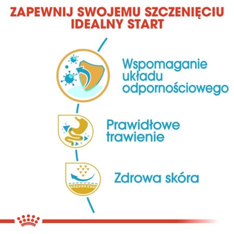 Royal Canin French Bulldog Puppy karma sucha dla szczeniąt do 12 miesiąca, rasy buldog francuski 1kg - 6