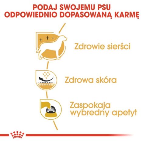 Royal Canin West Highland White Terrier Adult karma sucha dla psów dorosłych rasy west highland white terrier 1,5kg - 5