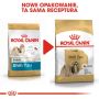 Royal Canin Shih Tzu Adult karma sucha dla psów dorosłych rasy shih tzu 0,5kg - 3