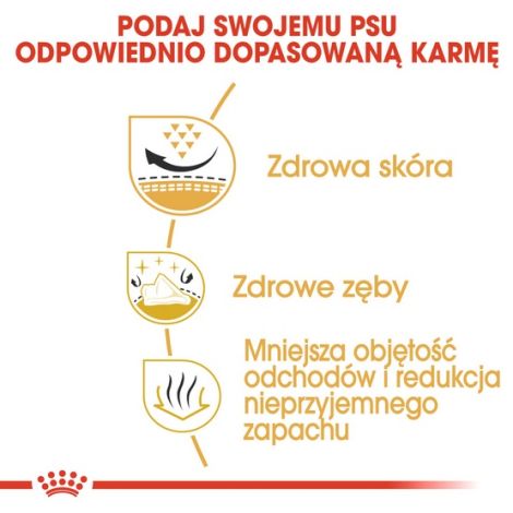 Royal Canin Shih Tzu Adult karma sucha dla psów dorosłych rasy shih tzu 1,5kg - 5