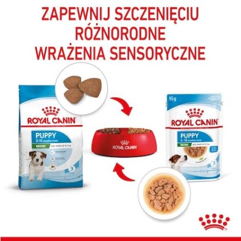 Royal Canin Mini Puppy karma mokra w sosie dla szczeniąt, od 2 do 10 miesiąca życia, ras małych saszetka 85g - 5