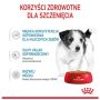 Royal Canin Mini Puppy karma mokra w sosie dla szczeniąt, od 2 do 10 miesiąca życia, ras małych saszetka 85g - 3