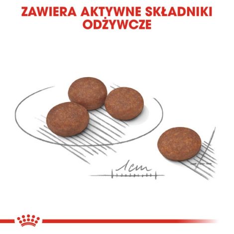 Royal Canin Mini Digestive Care karma sucha dla psów dorosłych, ras małych o wrażliwym przewodzie pokarmowym 3kg - 5