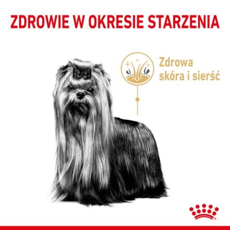 Royal Canin Yorkshire Terrier Adult 8+ karma sucha dla psów starszych rasy yorkshire terrier 1,5kg - 4