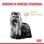 Royal Canin Yorkshire Terrier Adult 8+ karma sucha dla psów starszych rasy yorkshire terrier 1,5kg - 4