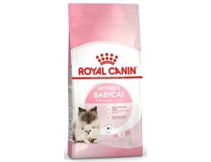 Royal Canin Mother&Babycat karma sucha dla kotek w okresie ciąży, laktacji i kociąt od 1 do 4 miesiąca 2kg