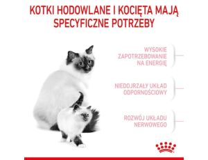 Royal Canin Mother&Babycat karma sucha dla kotek w okresie ciąży, laktacji i kociąt od 1 do 4 miesiąca 2kg - 2