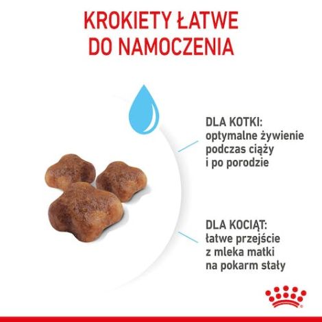 Royal Canin Mother&Babycat karma sucha dla kotek w okresie ciąży, laktacji i kociąt od 1 do 4 miesiąca 2kg - 4