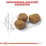 Royal Canin Fit karma sucha dla kotów dorosłych, wspierająca idealną kondycję 400g - 5