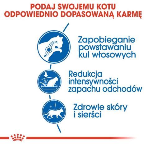 Royal Canin Indoor Long Hair karma sucha dla kotów dorosłych, długowłose, przebywających wyłącznie w domu 400g - 4