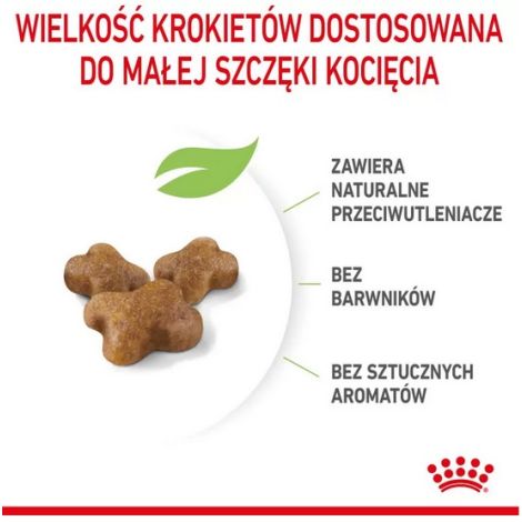 Royal Canin Kitten karma sucha dla kociąt od 4 do 12 miesiąca życia 4kg - 5