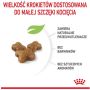 Royal Canin Kitten karma sucha dla kociąt od 4 do 12 miesiąca życia 4kg - 5