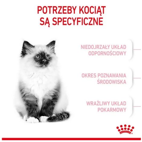 Royal Canin Kitten karma sucha dla kociąt od 4 do 12 miesiąca życia 400g - 3