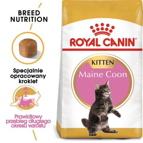 Royal Canin Maine Coon Kitten karma sucha dla kociąt, do 15 miesiąca, rasy maine coon 400g