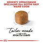 Royal Canin Maine Coon Kitten karma sucha dla kociąt, do 15 miesiąca, rasy maine coon 400g - 6