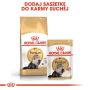 Royal Canin Persian Adult karma sucha dla kotów dorosłych rasy perskiej 2kg - 5