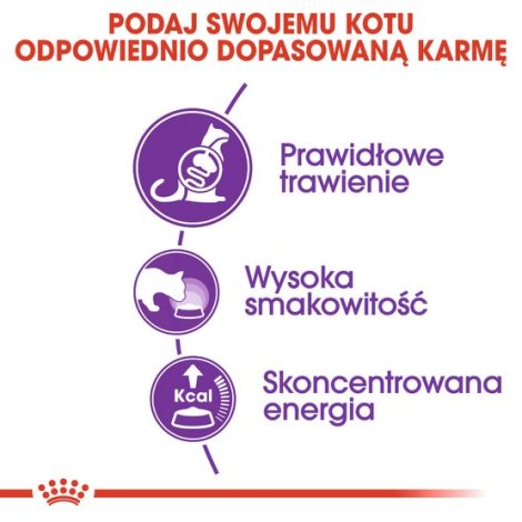 Royal Canin Sensible karma sucha dla kotów dorosłych, o wrażliwym przewodzie pokarmowym 4kg - 4