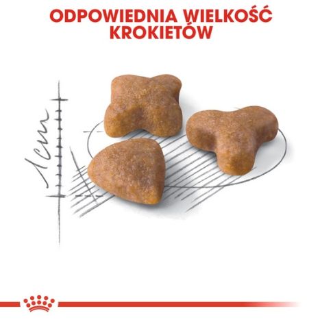 Royal Canin Sensible karma sucha dla kotów dorosłych, o wrażliwym przewodzie pokarmowym 4kg - 5