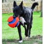 Chuckit! Kick Fetch Small [251101] - 5