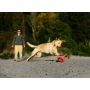 Chuckit! Kick Fetch Small [251101] - 4