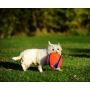 Chuckit! Kick Fetch Large [251201] - 4