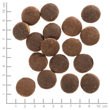 Wolfsblut Dog Red Rock - kangur i bataty 12,5kg - 3
