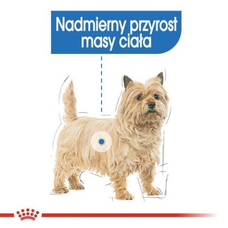 Royal Canin Light Weight Care karma mokra dla psów dorosłych, wszystkich ras z tendencją do nadwagi saszetka 85g - 2