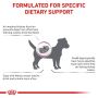 Royal Canin Veterinary Diet Canine Renal Small Dog 1,5kg - 2