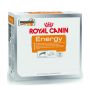 Royal Canin Nutritional Supplement Energy zdrowy przysmak dla psów dorosłych, aktywnych 50g - 2